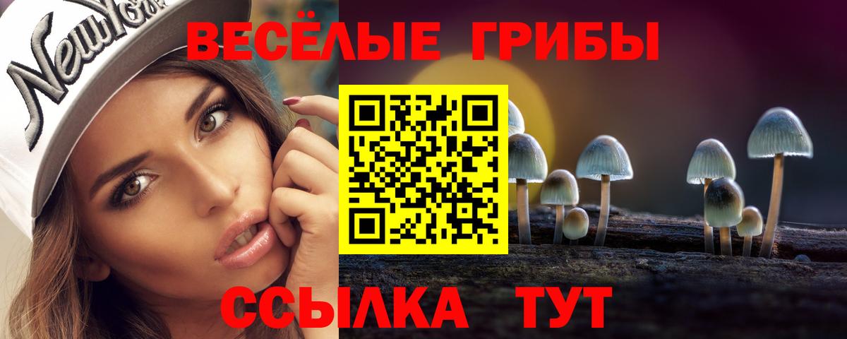Псилоцибиновые грибы Psilocybine cubensis  Вход с VPN  даркнет сайт  Первоуральск 
